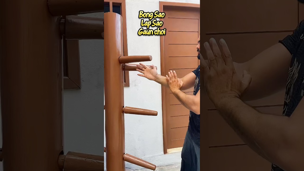 WING CHUN AND JKD TECHNIQUE#brucelee #martialarts #kungfu #ipman #jeetkunedo #wingchun #mma #ufc