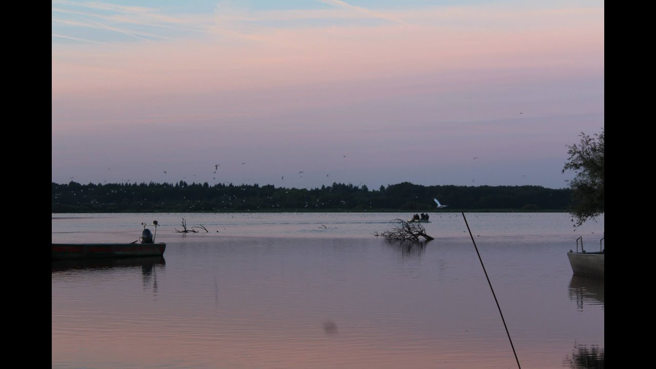 Vues sur Loire : Lac de Grand Lieu (44)