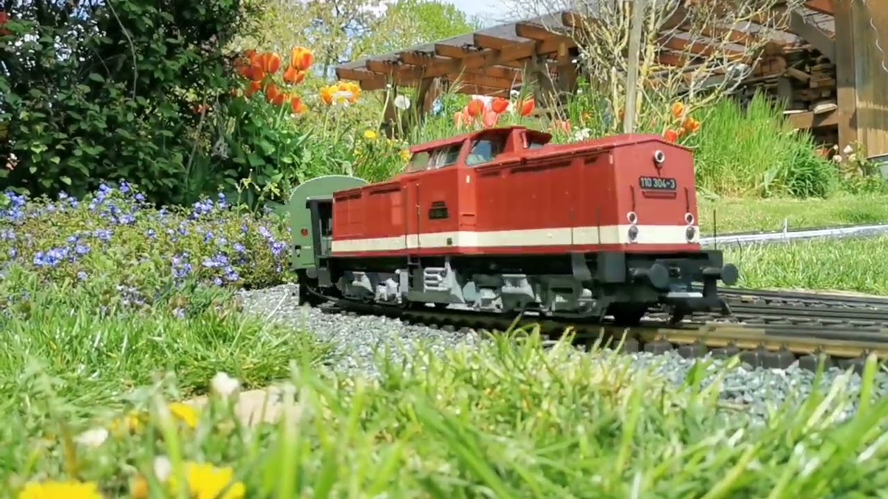 DR Fahrtag auf der Gartenbahn