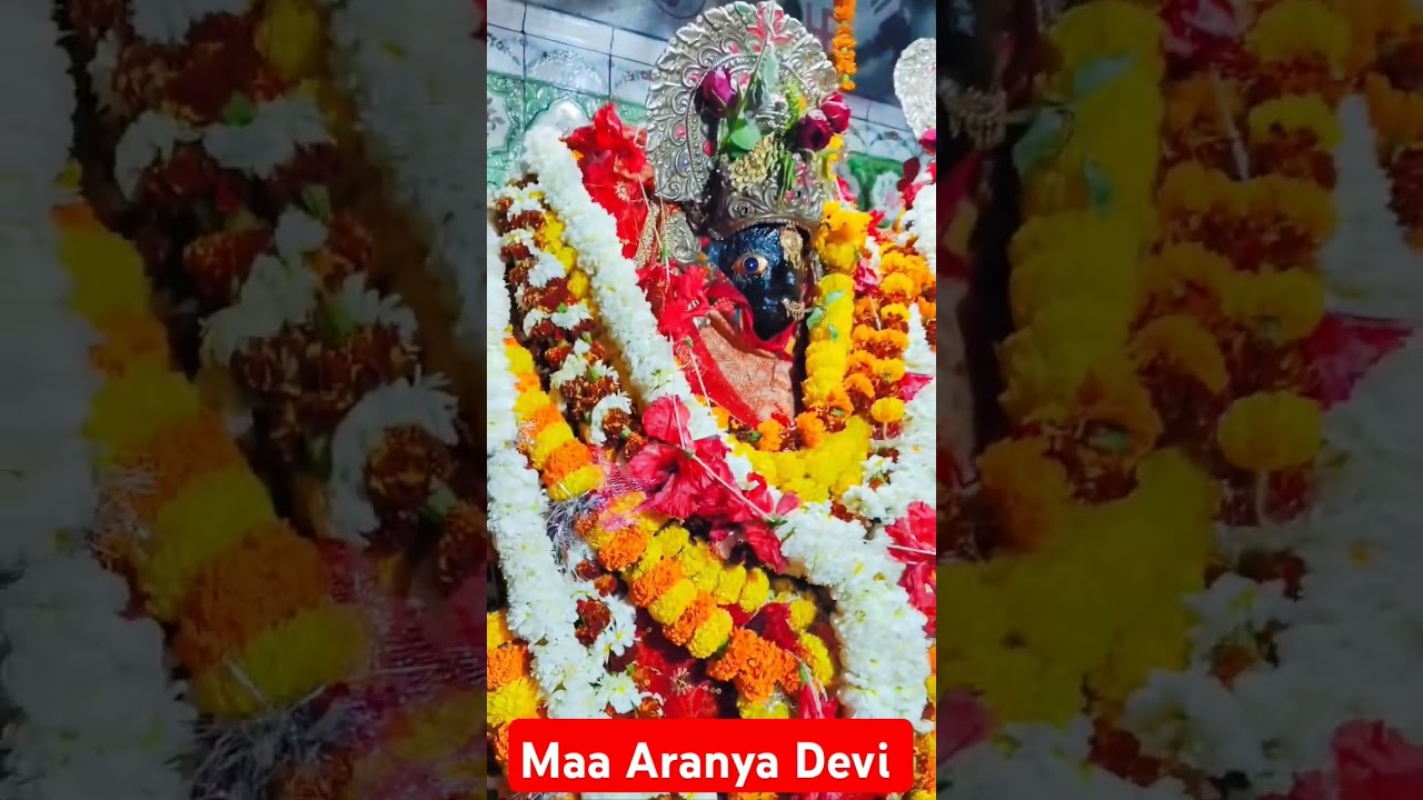 Maa Aranya Devi mandir Ara 