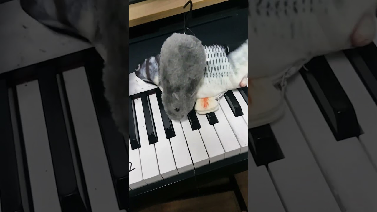 1 or 2? #piano