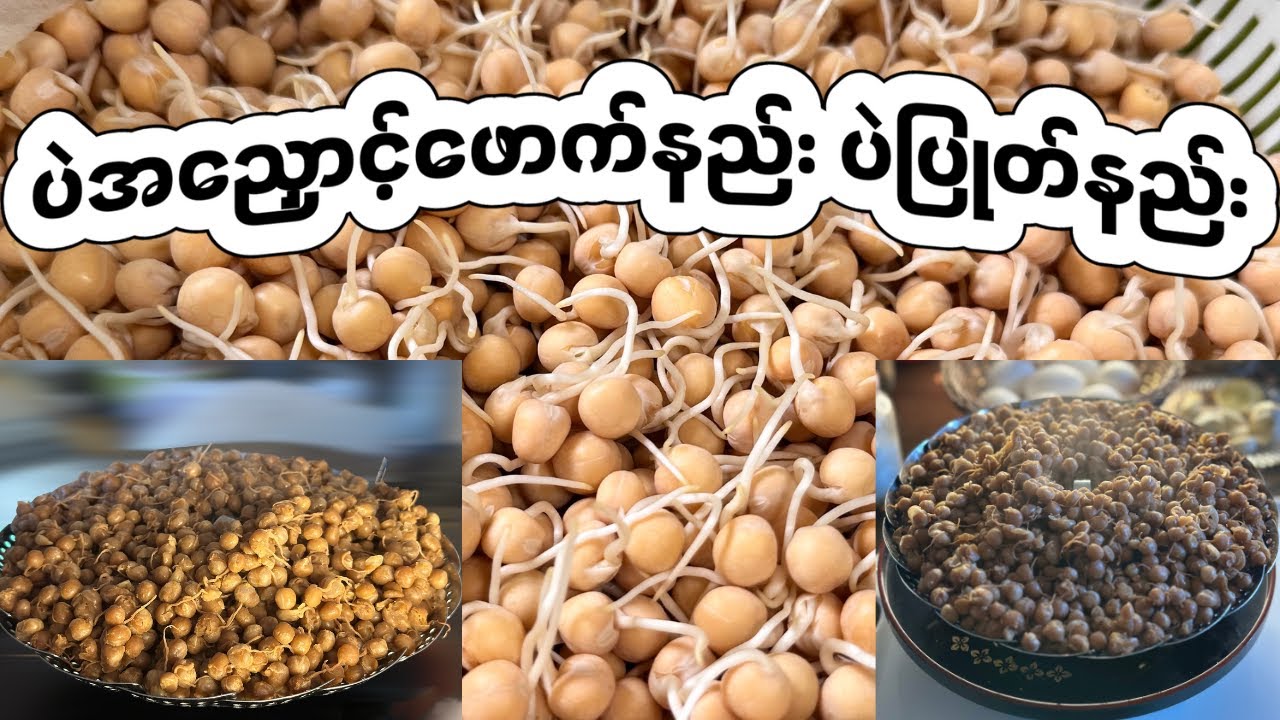 ပဲအညှောင့်ဖောက်နည်း ပဲပြုတ်နည်း  - How to make boiled white peas  #myanmarfood #asianfood #yummy