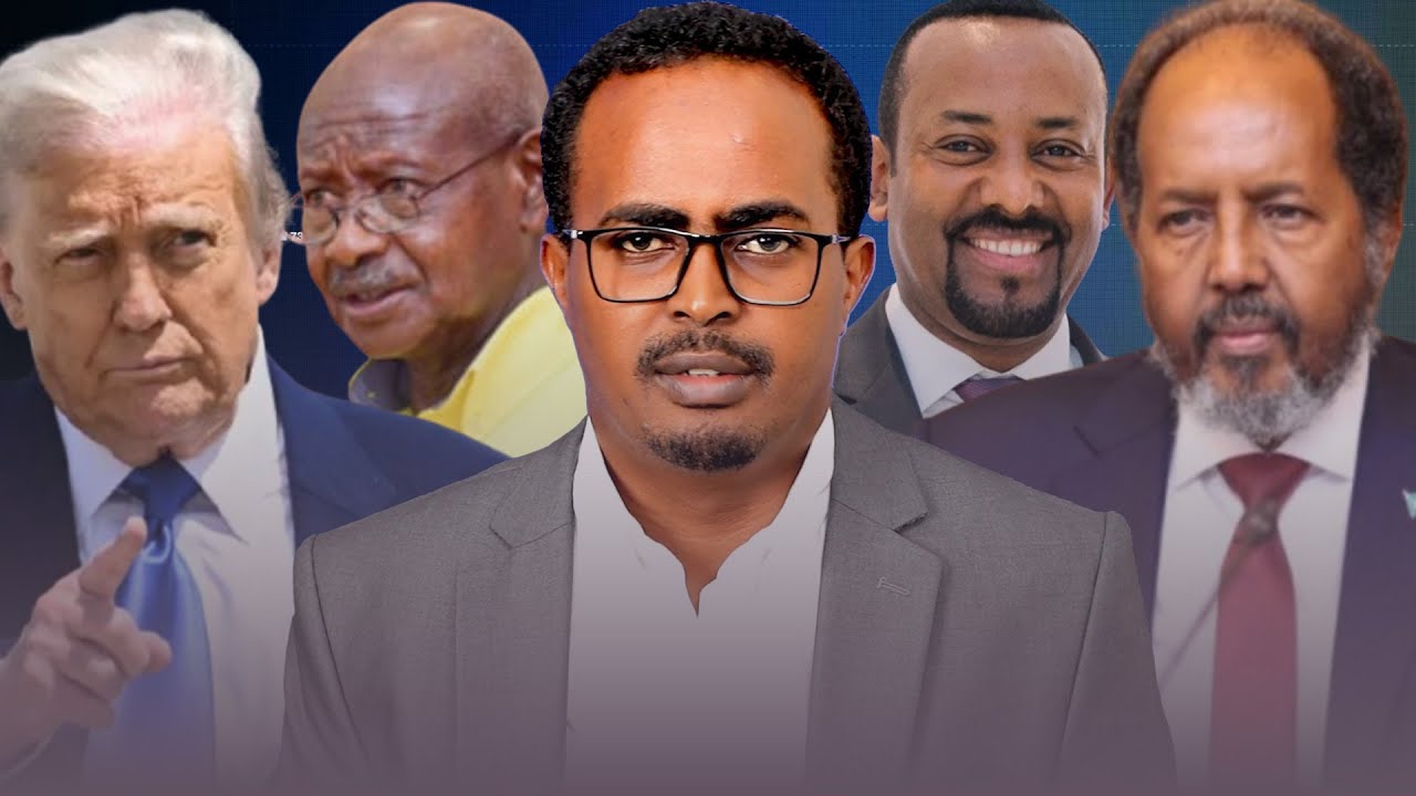 Nuxurka fariinta Aqalka Cad ee lageeyey Muqdisho, Jahawareerka haysta Villa Somalia & Halista cusub