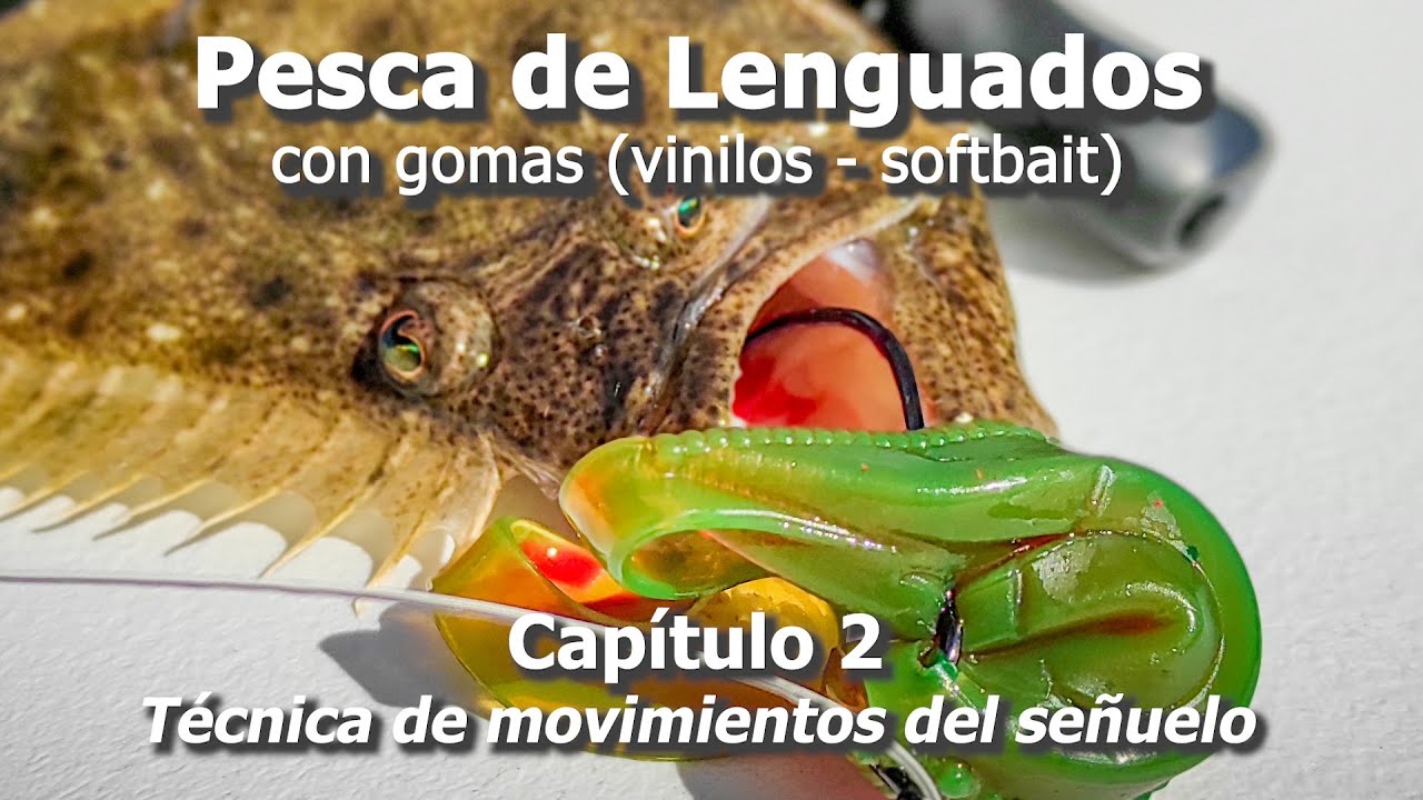 Pesca de Lenguados con gomas - vinilos - softbait Capítulo 2 - Técnica de movimientos del señuelo