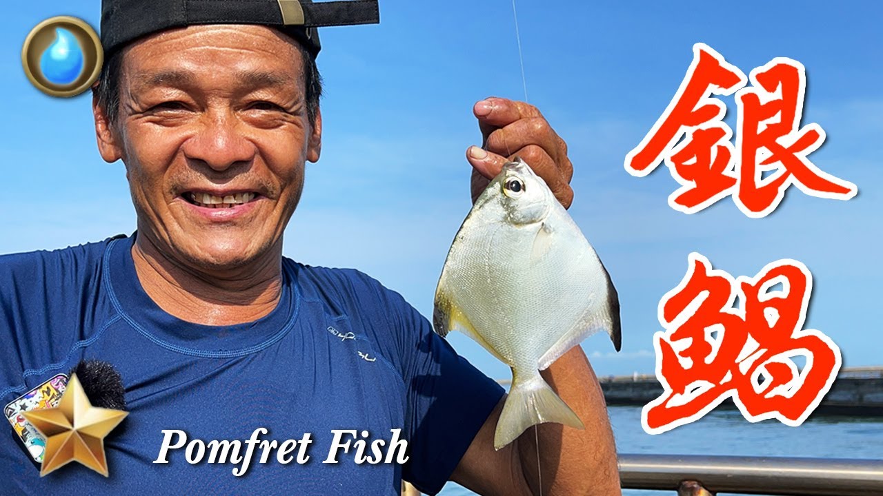 野味48集 | 銀鯧 | 油潑 香煎 | Pomfret Fish | 萍哥Pinger
