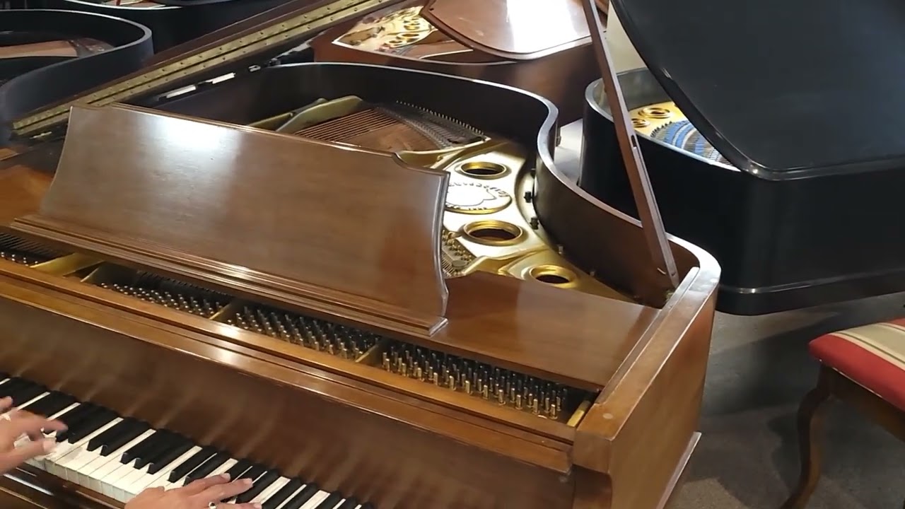 Hope Song (Hatikva) -Performed by Raht on our Chickering Baby Grand Piano