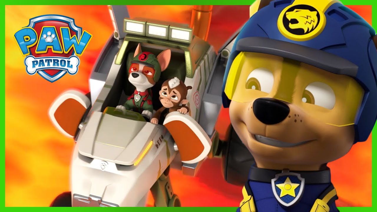 Tracker and Jungle Pups save animals from the Volcano! - PAW Patrol Episode - Cartoons for Kids