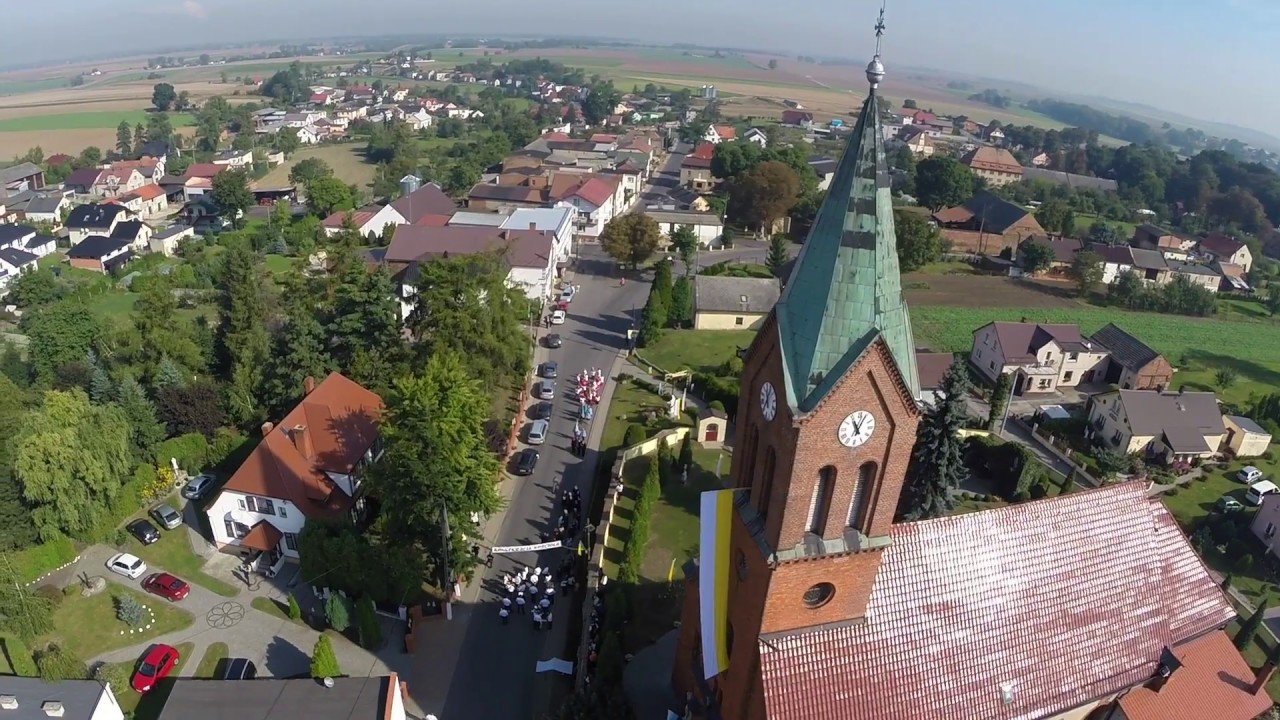 Ostrożnica okiem Aniołów