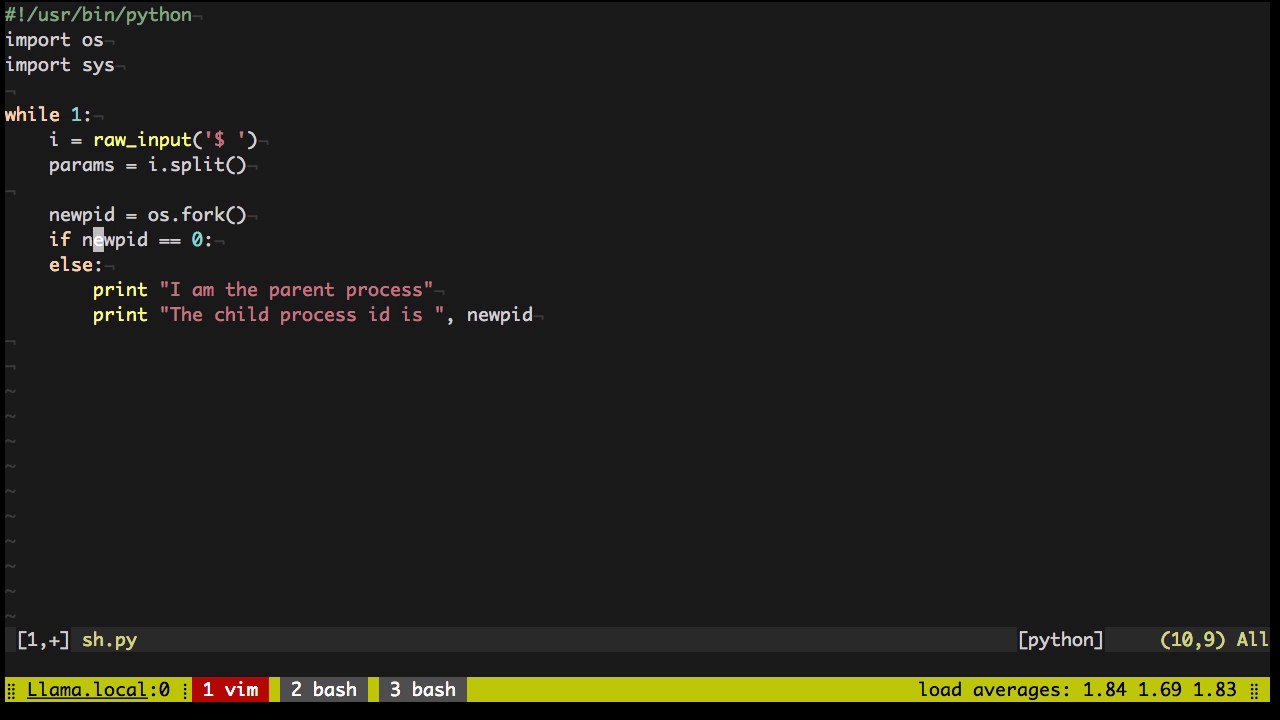 What happens when you type a command in the terminal?