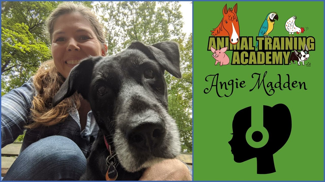 Exploring Control Unleashed with Angie Madden [Episode 230]