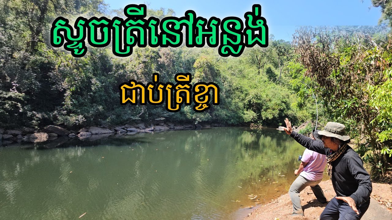 ស្ទូចត្រីនៅអន្លង់ជួបត្រីខ្ចា