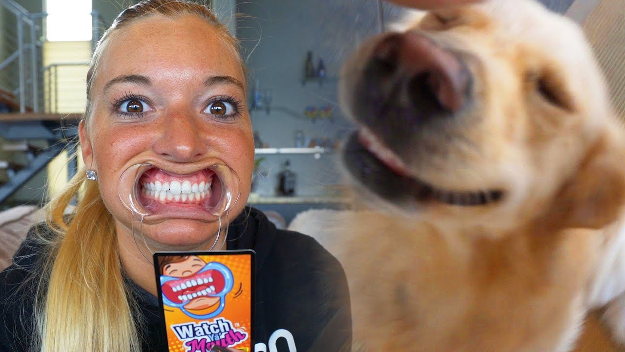 DOGS vs FUNNY MOUTH GAME (Super Cooper Sunday #128)
