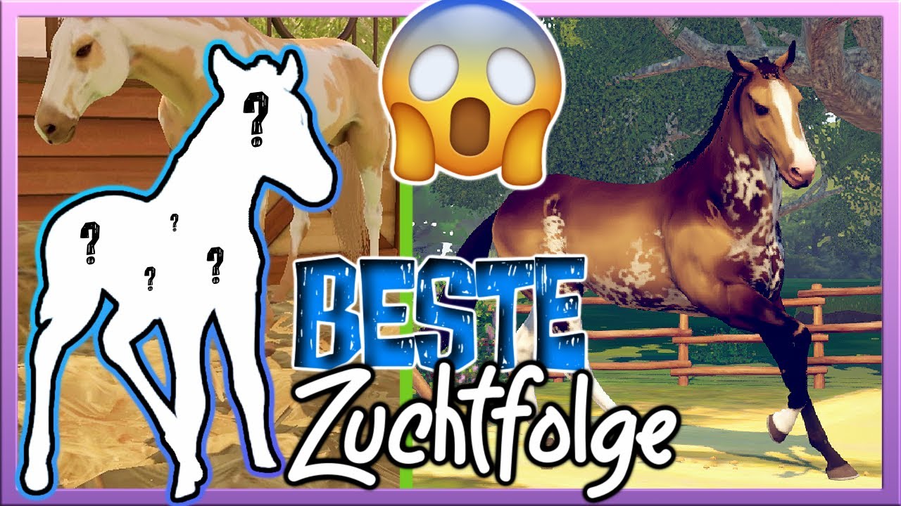 Willkommen zur BESTEN ZUCHTFOLGE 💙. Ever. (bin hyped 👌🏼) Rival Stars Horse Racing