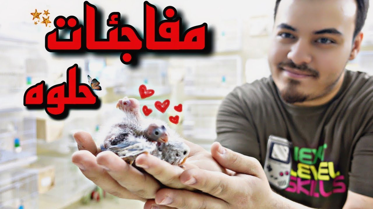 فتح الاعشاش | اخيرا الفيديو الي طال بانتظاره 😍😂