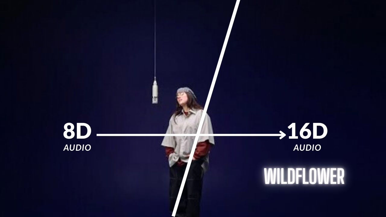 Billie Eilish - WILDFLOWER ‬(16D Audio 