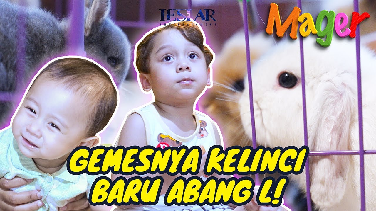 MAGER : KENALAN SAMA 4 KELINCI BARU ABANG L, TETEH LESHIA SAMPAI GEMES BANGET!