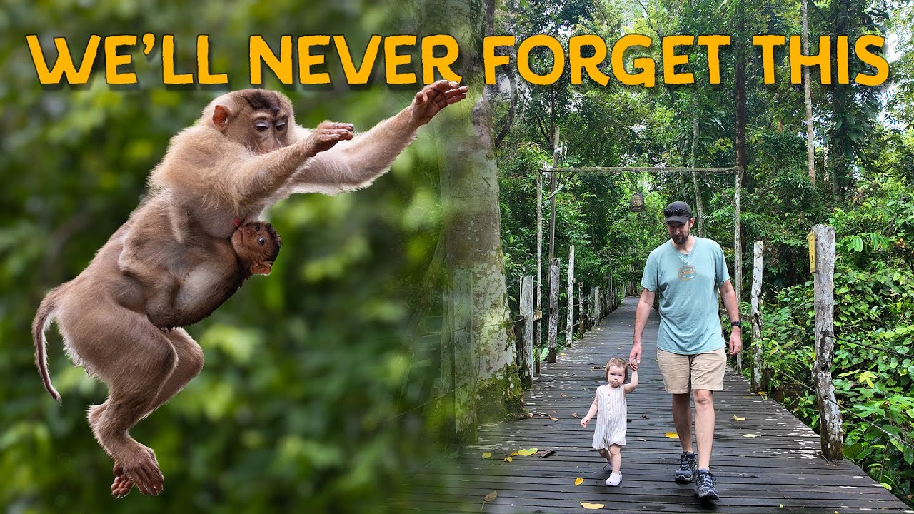 Отправляемся с детьми вглубь джунглей Борнео на 3 дня