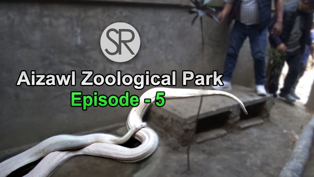 SR : Aizawl Zoological Park - 5 | 27.2.2023