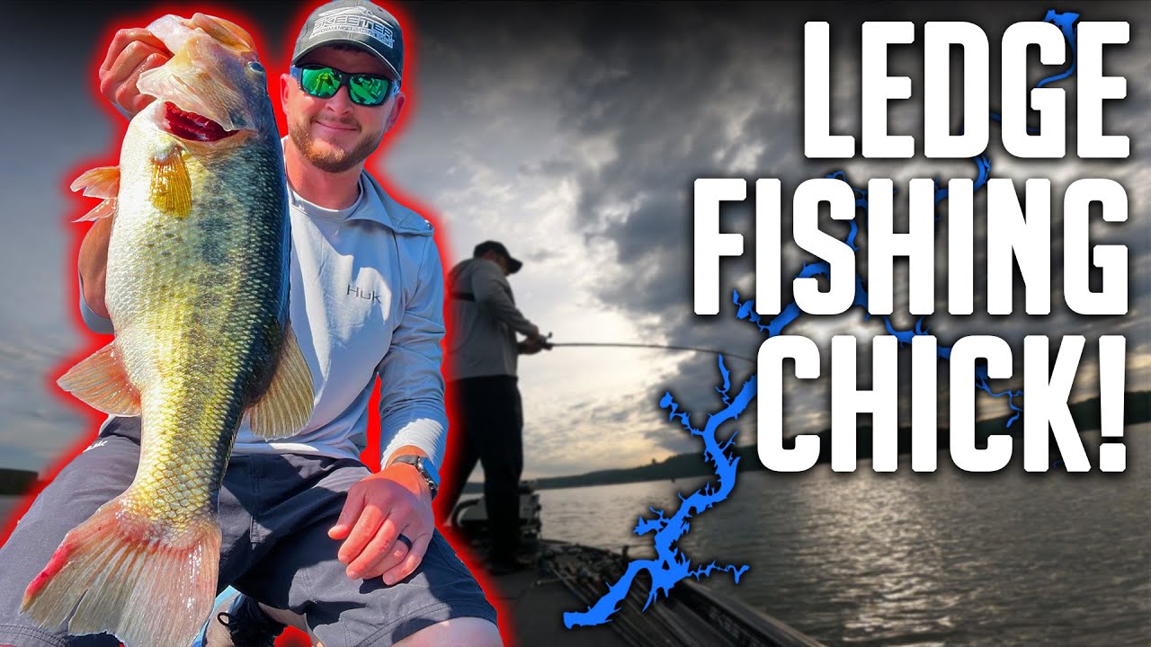 This is Why You Ledge Fish on Chickamauga Lake!