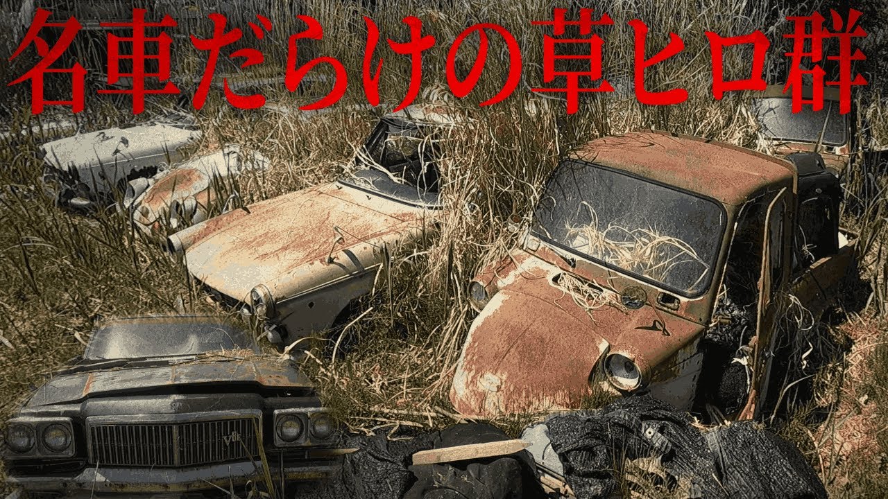 貴重車の草ヒロが大量に眠る場所