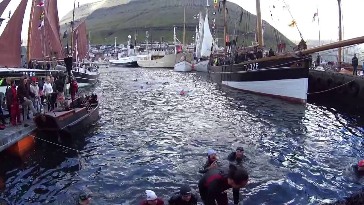 Svimjing á Sjómannadegnum 2016