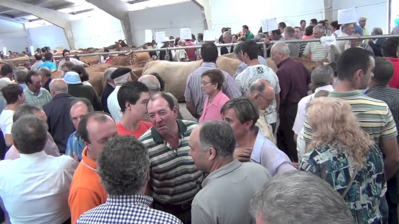 Feira Pedrafita do Cebreiro