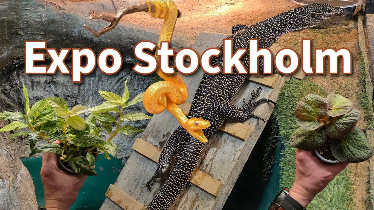 Expo Stockholm (Reptilmässa)