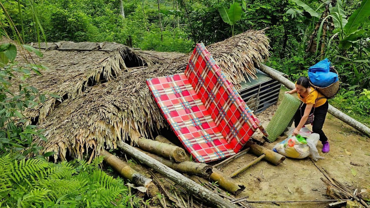 Tin became poor and miserable - The temporary house collapsed girl had to buy land to live on
