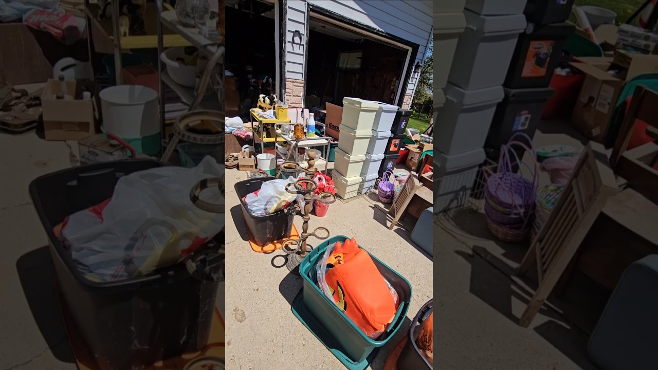 Estate sale JACKPOT #thrifting #homedecor #education #midcentury #thrift #shopping #estatesalefinds