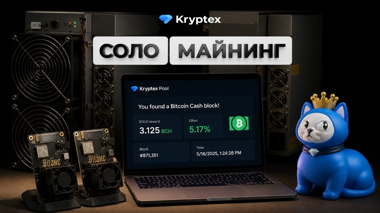 Solo Mining: Lottery or Real Profit?