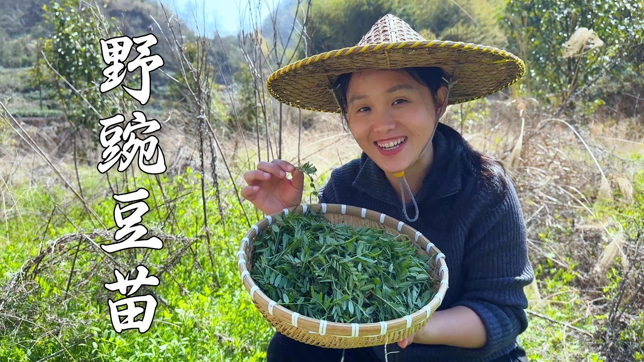 野生豌豆苗怎么吃？这样一做，清口又下饭