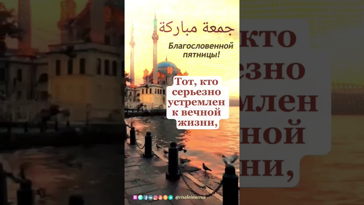 #ДЖУМА МУБАРАК. #СЧАСТЬЕ / #джуманамаз #рисалеинур #risaleinur #джамаатнамаз #дунья #стамбул