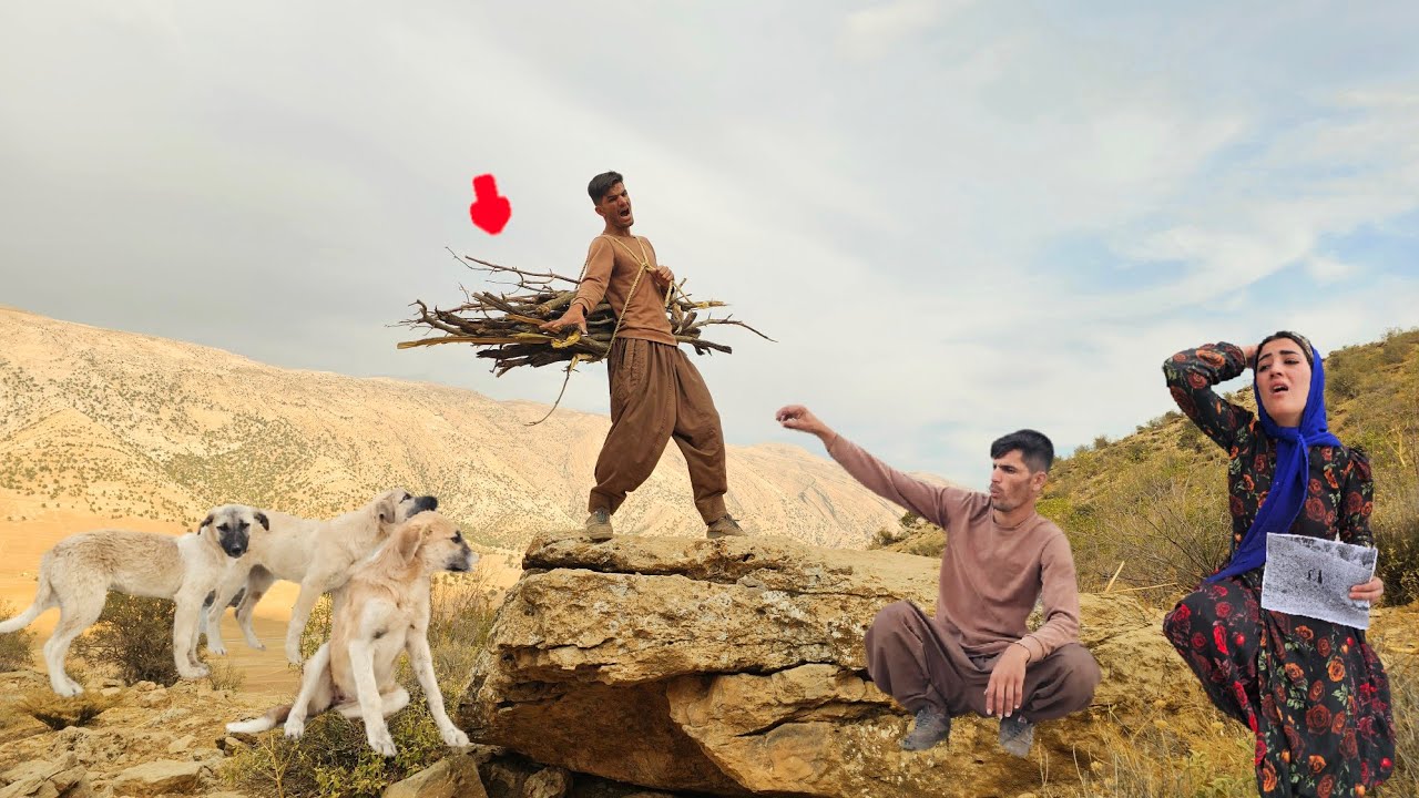 🔥🌲 Ramin&rsquo;s Hard Life in the Mountains Without Zolfa|Gathering Firewood and Feeding Hungry Animals!🐕&hearts;
