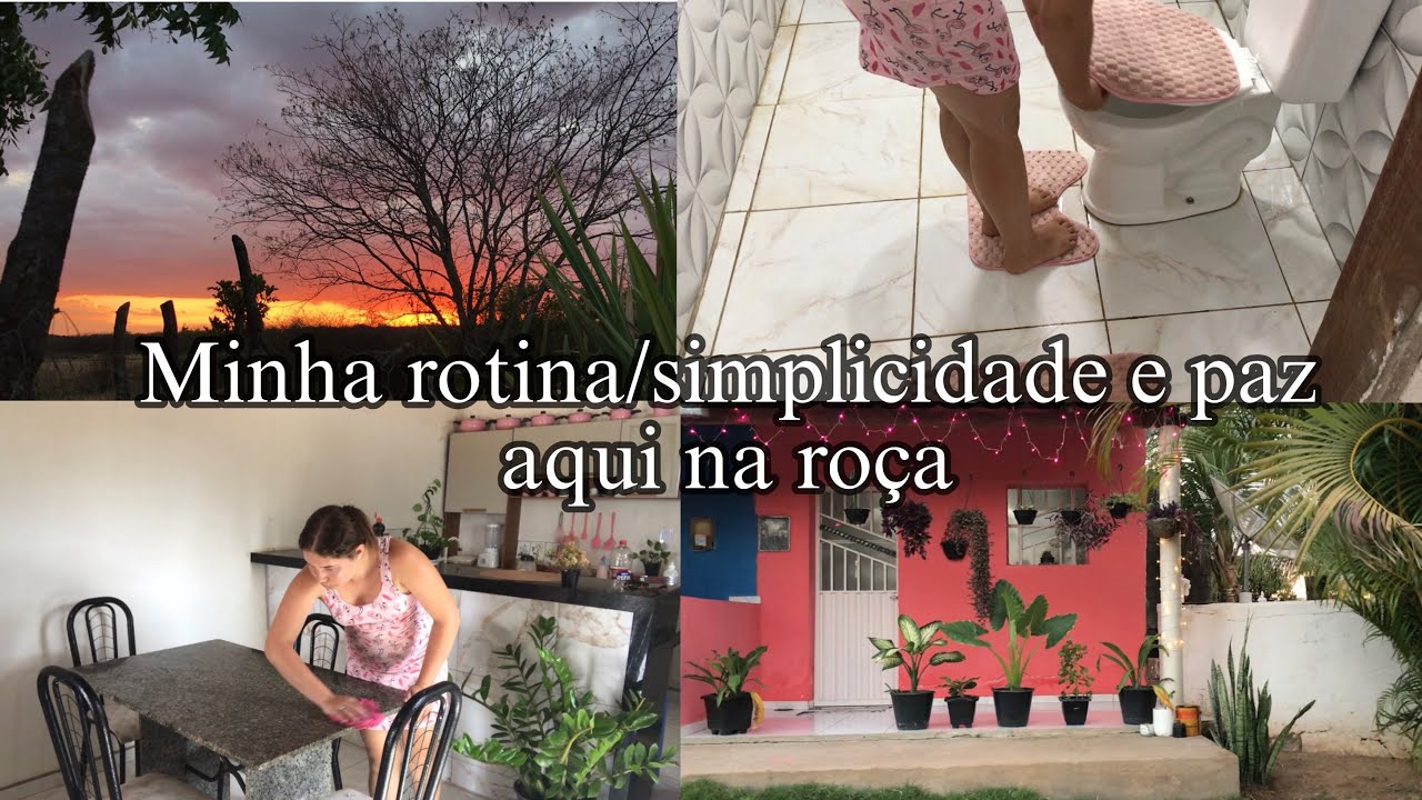 Vlog/ minha rotina/simplicidade e paz aqui na roça 🏡🪴❣️