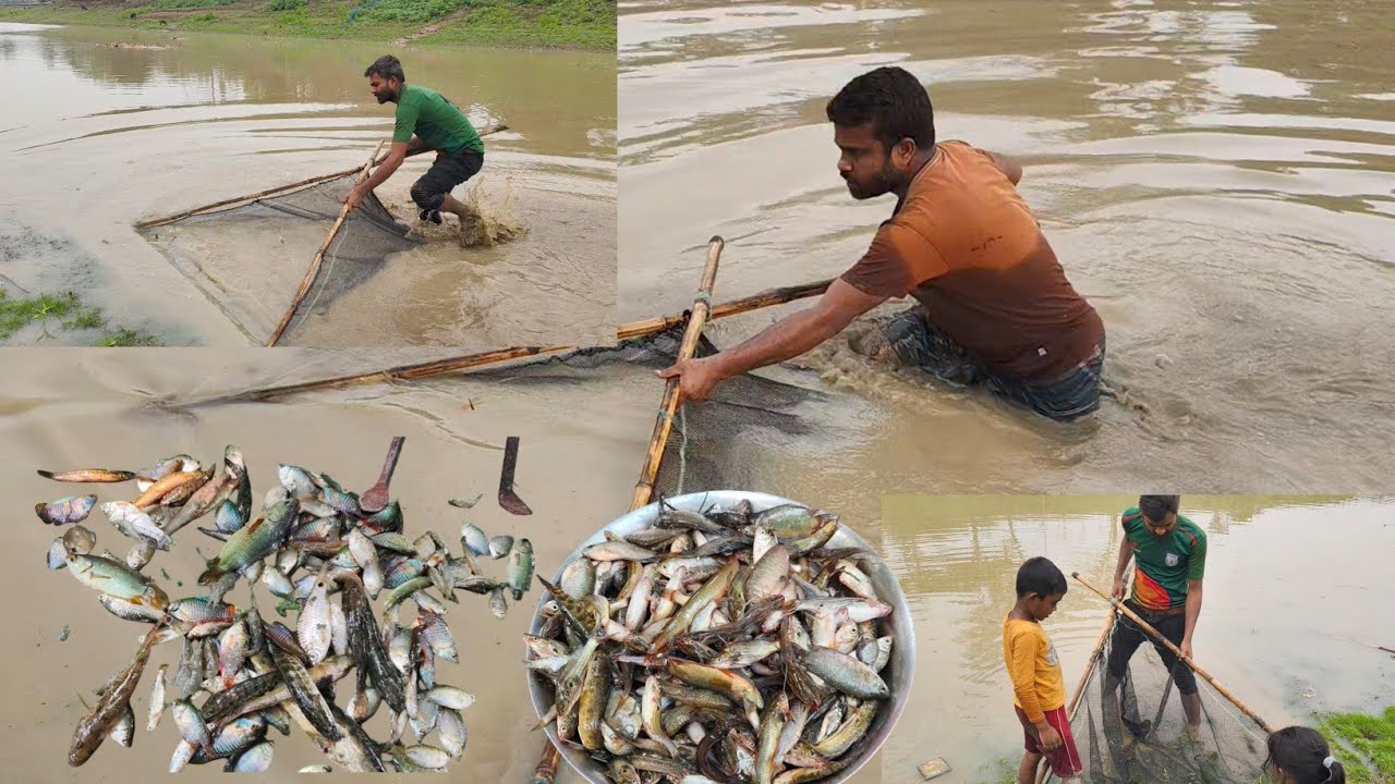 অনেকাকু কদিন পর ঠেলা জালি দিয়ে নদীতে মাছ মারতে গেলাম 