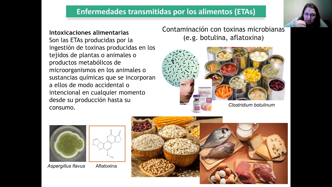 C16 Microbiología de los alimentos