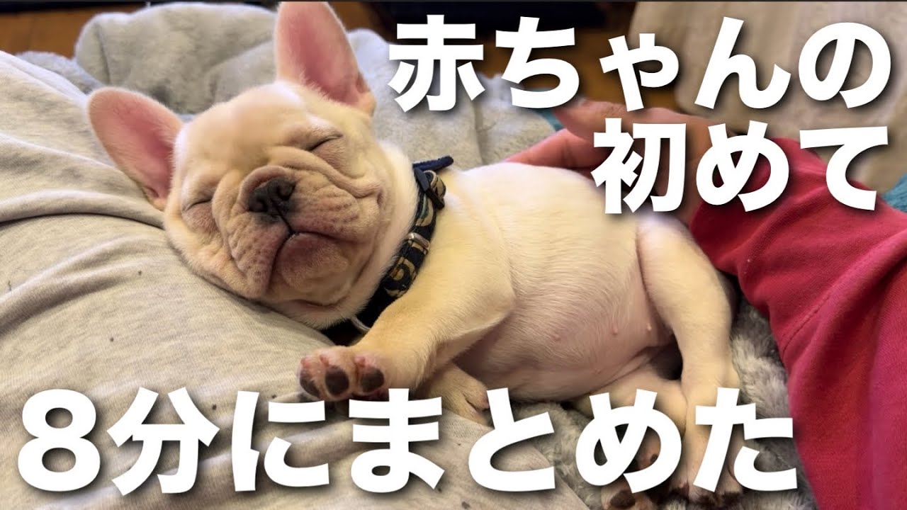 フレブルの赤ちゃんの初めて記念を贅沢に集めてみた