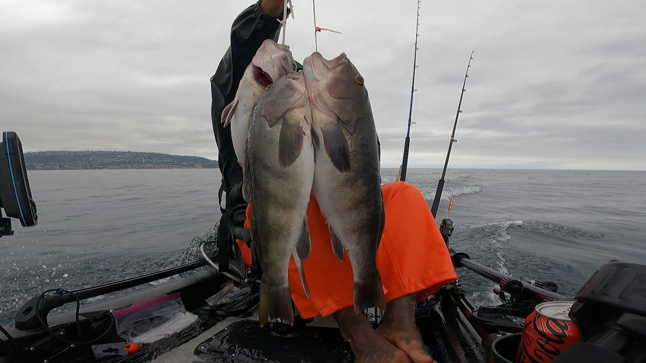 Let&rsquo;s go fishing for Barred Sand Bass 