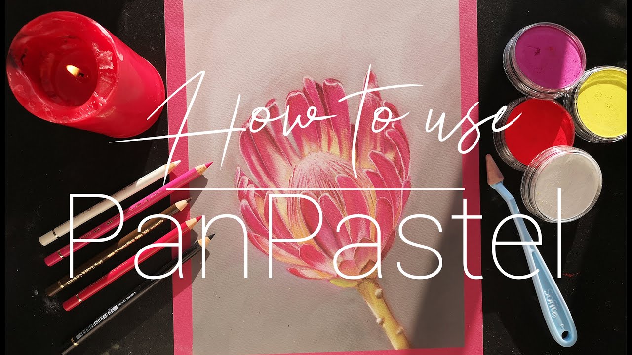 How to use Pan Pastel for BEGINNERS | EASY tips and tricks