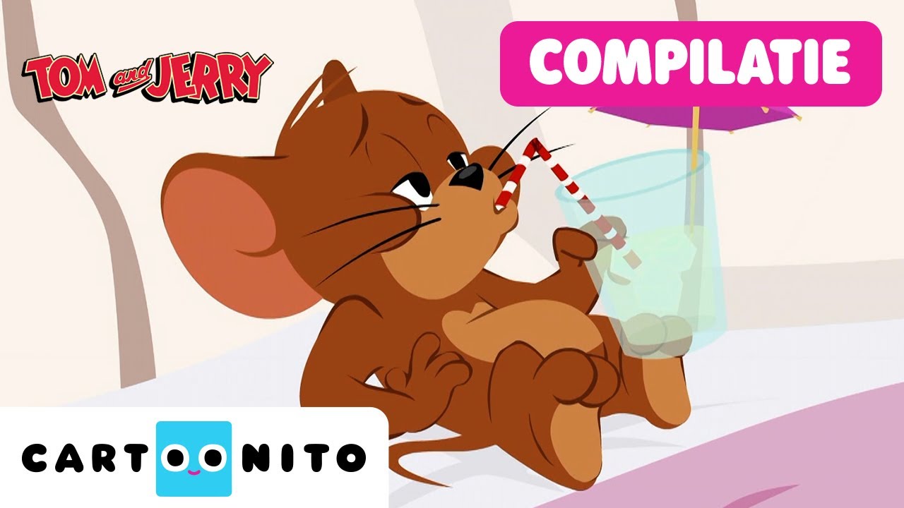 Hoogtepunten van de kat-en-muis-gekte | Tom and Jerry | Compilatie | Cartoonito
