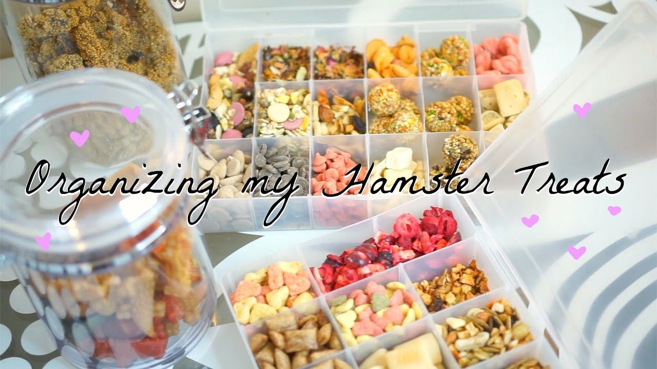 Organizing My Hamster Treats