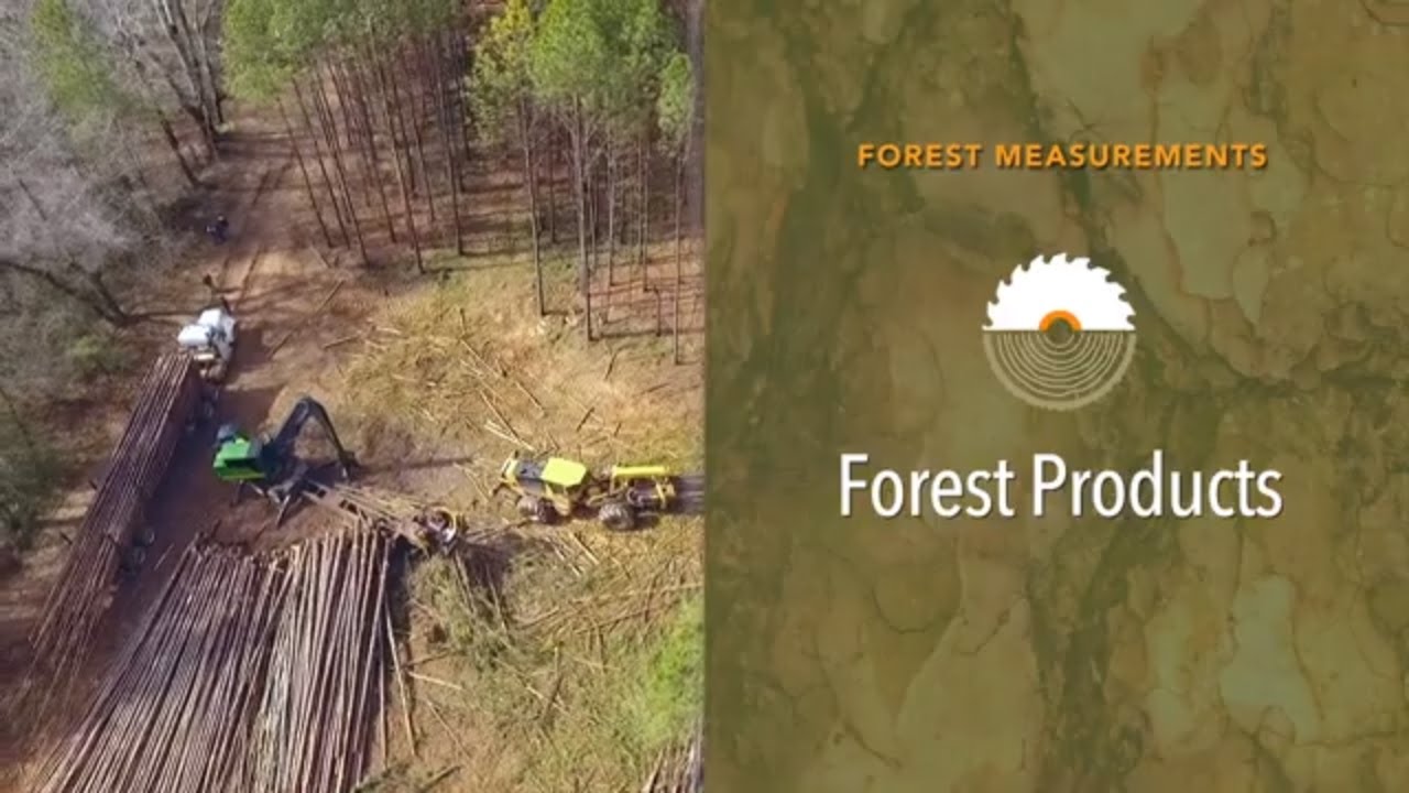 Forest Measurements: Forest Products