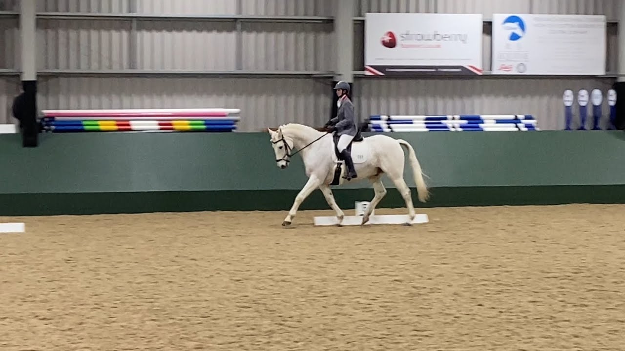 Prelim 2 (2024) British Dressage Test