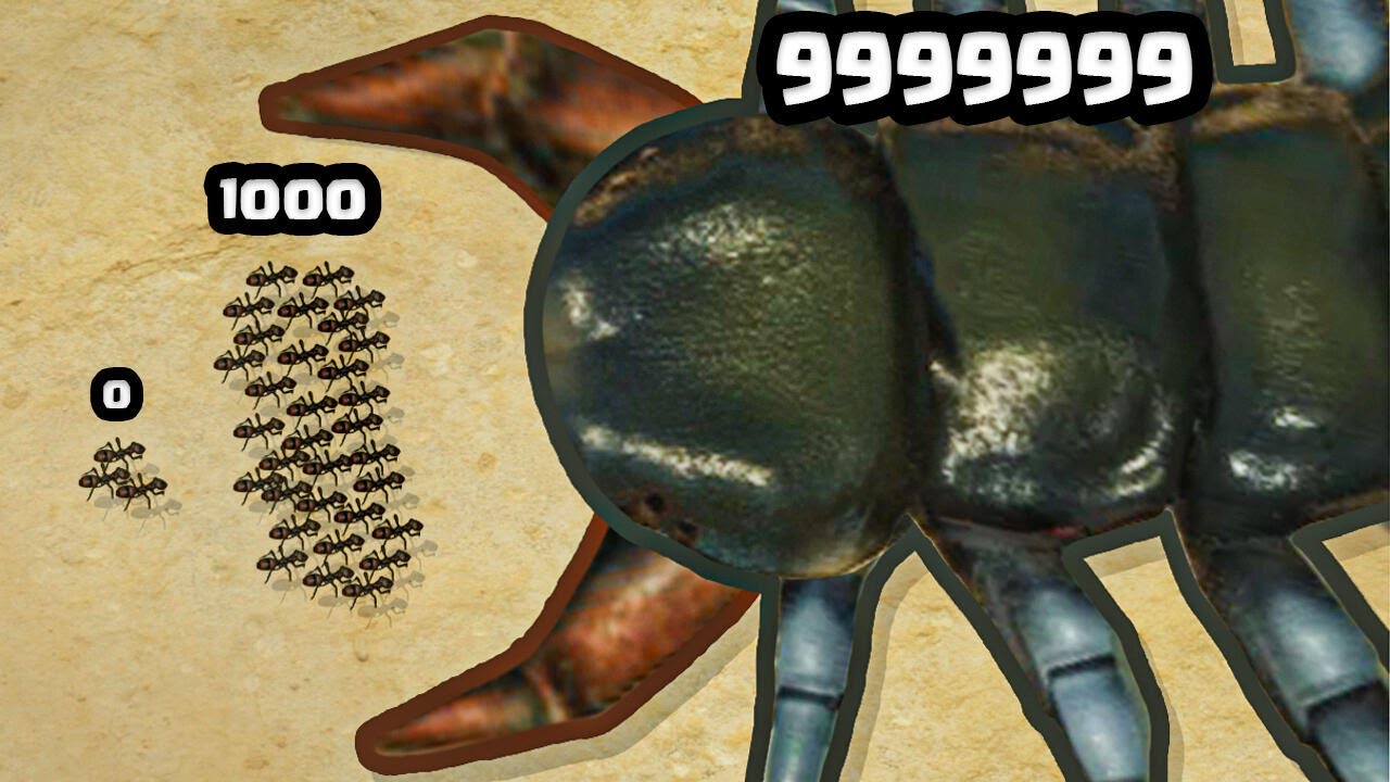 Is This a MAX LEVEL INSECT ARMY CENTIPEDE?
