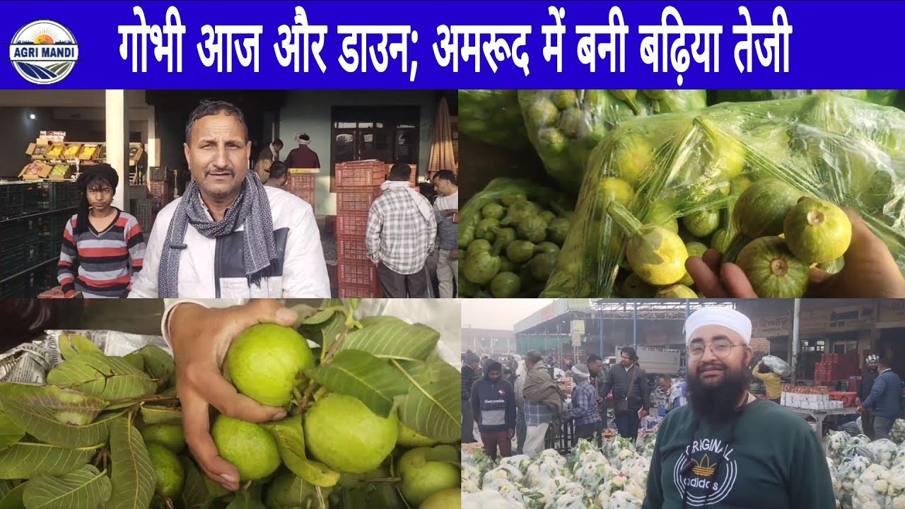 24/02/26 फल सब्जी भाव करनाल मंडी मंगलवार थोक दाम #फल #सब्जी #थोकभाव  #farmer