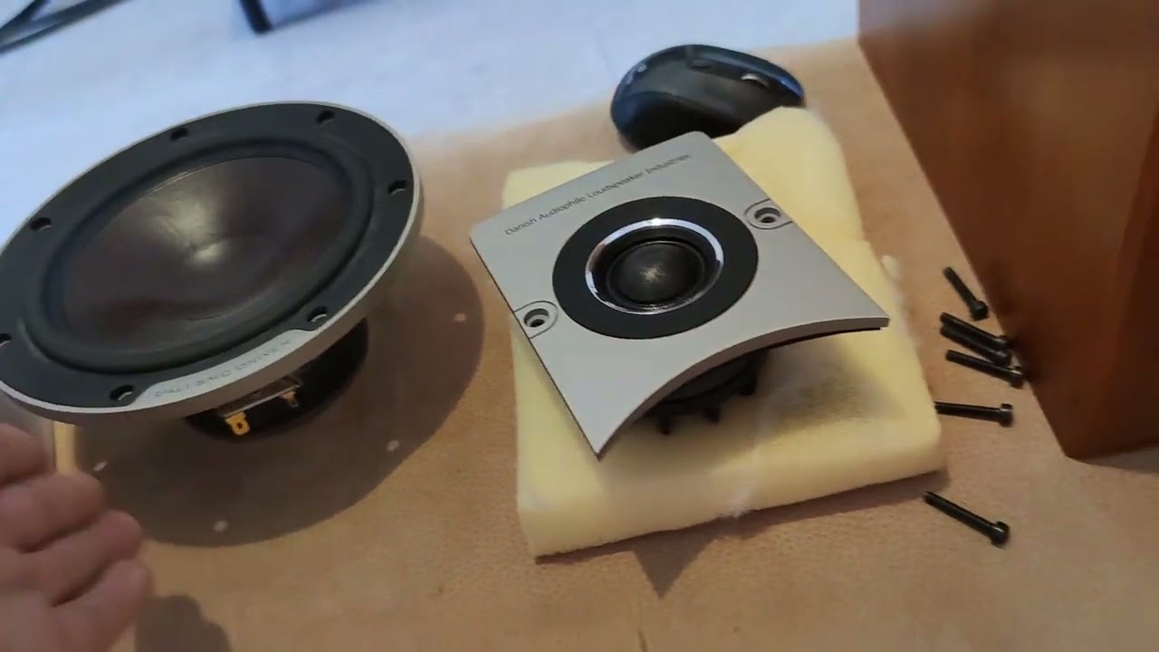 Dali Epicon 2 vs Dynaudio contour 1.3 mk 2 Crossover