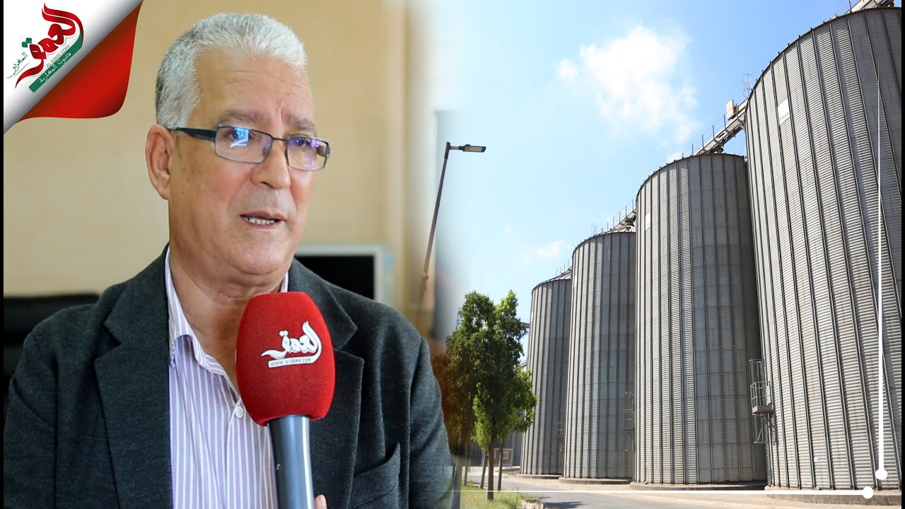 رئيس الجامعة الوطنية للمطاحن بالمغرب يوضح سبب ارتفاع ثمن القمح ويطمئن المغاربة