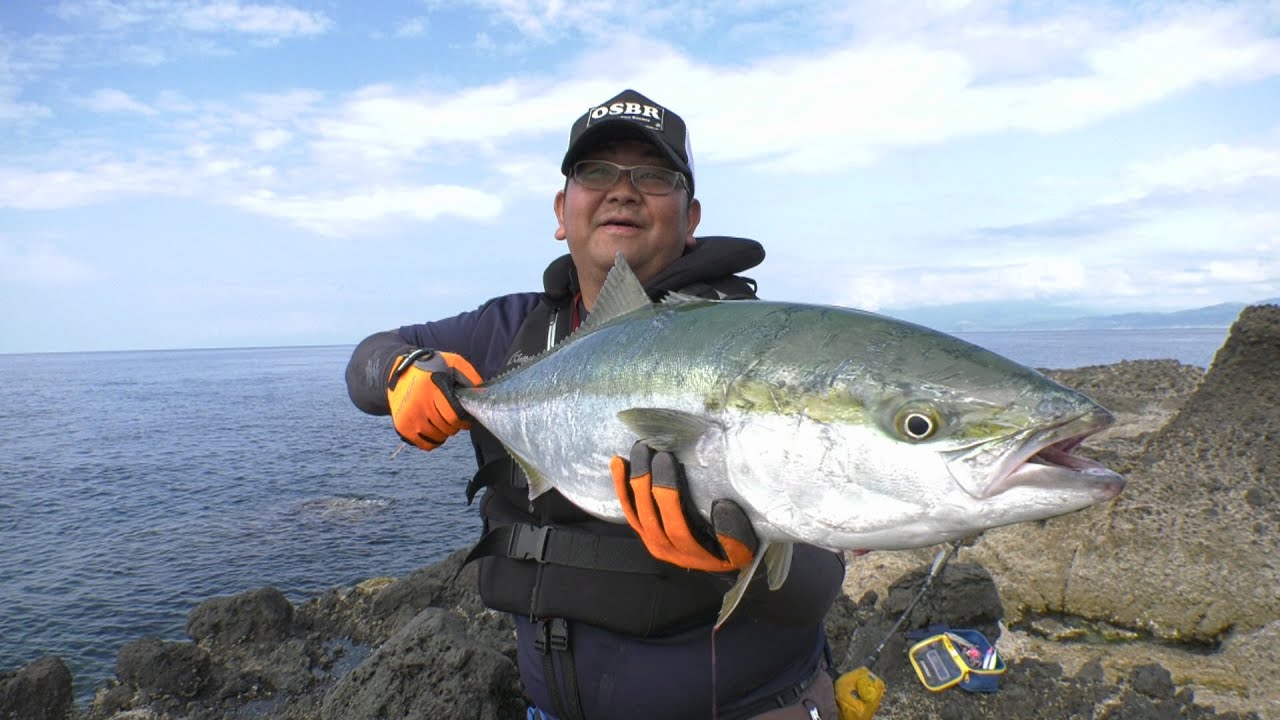 #380 北の海を騒がせる青物の鼓動～短い夏を彩る道南ショアゲーム～