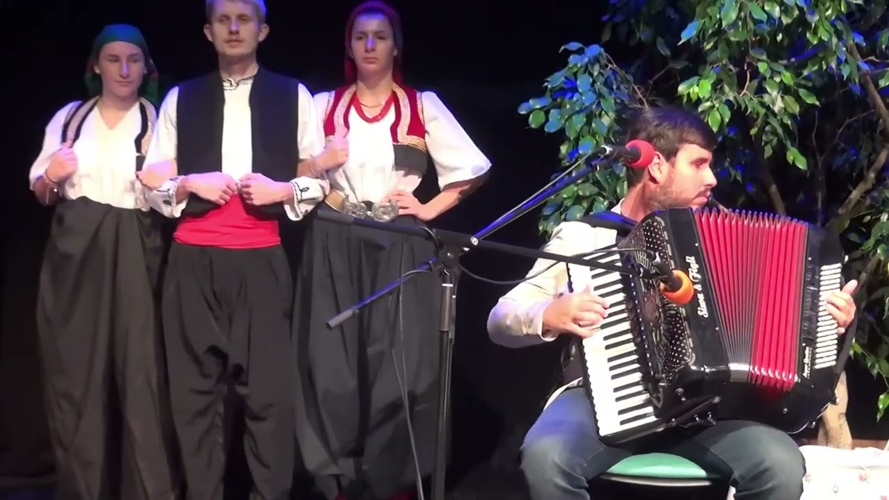 Pavao Anić U baštici ruža vene