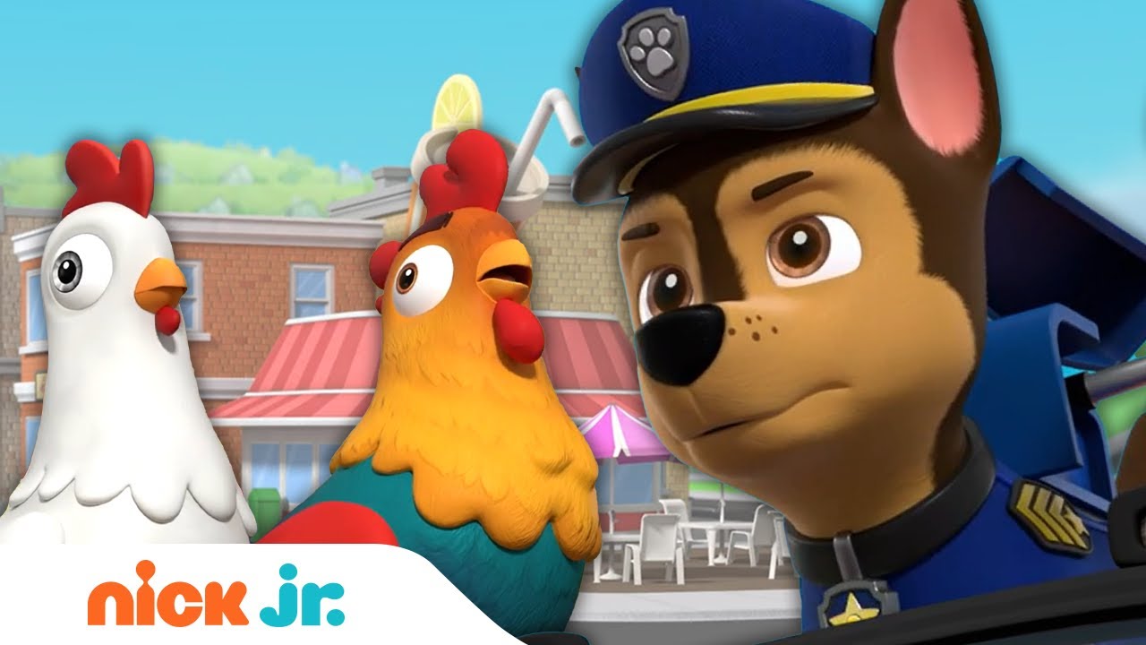 PAW Patrol Pups Save Chickens from Danger! | Nick Jr.